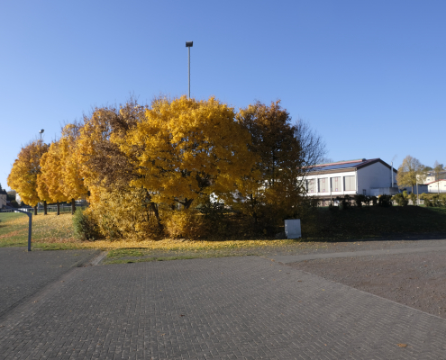 Beuerner Impressionen