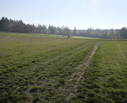 Beuerner Impressionen