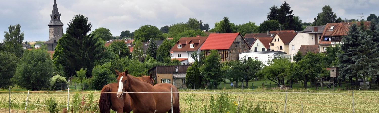 Panorama Beuern - Blick auf den Ortsrand